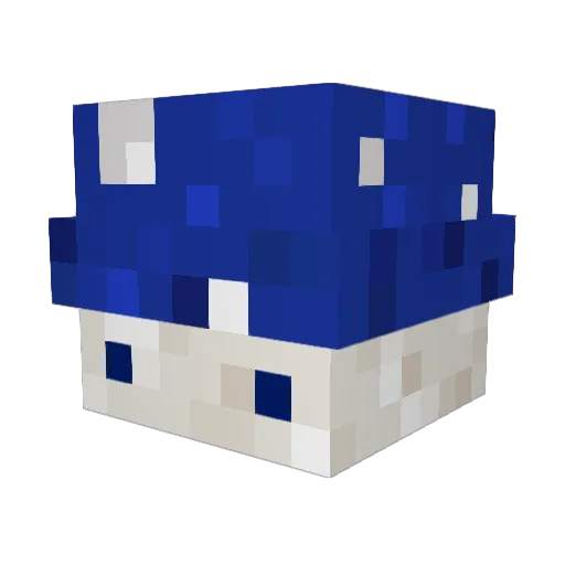 _ndy Minecraft avatar head, 3D render
