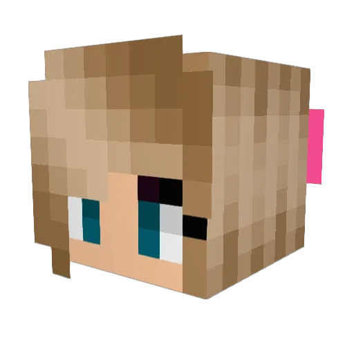 _nevadamom_ Minecraft avatar head, 3D render