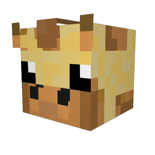 _nichy Minecraft avatar head, 3D render