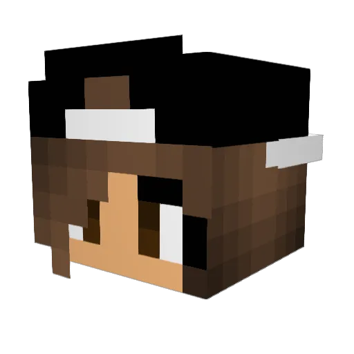 _nicki__ Minecraft avatar head, 3D render