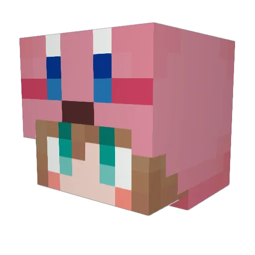 _nicol Minecraft avatar head, 3D render
