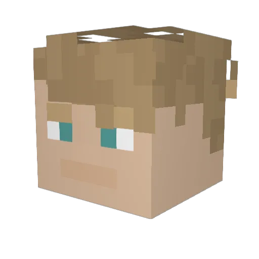 _nikles_ Minecraft avatar head, 3D render
