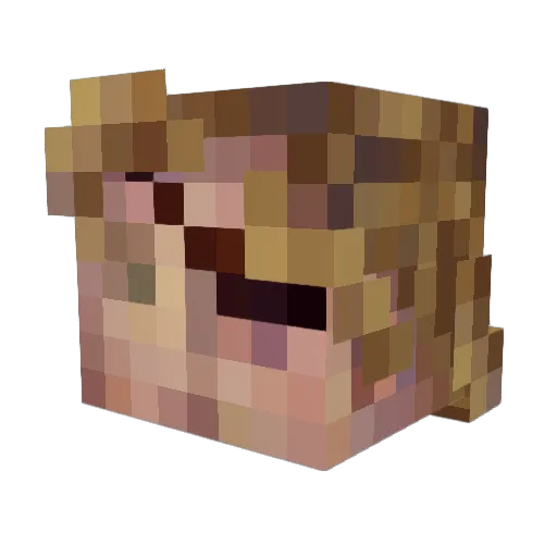 _nitsua Minecraft avatar head, 3D render
