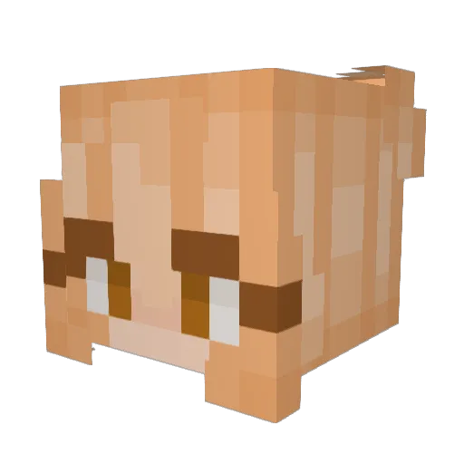 _nnyxx_ Minecraft avatar head, 3D render