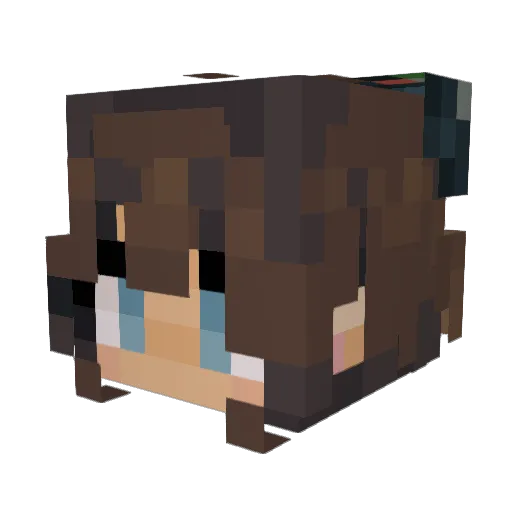 _no_u_ Minecraft avatar head, 3D render