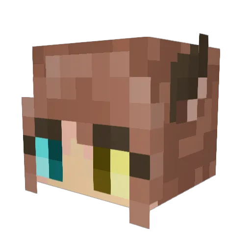 _nocti_ Minecraft avatar head, 3D render