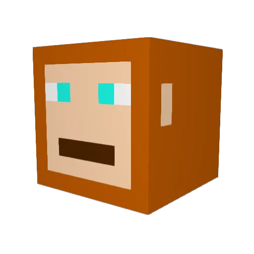 _noogie_ Minecraft avatar head, 3D render