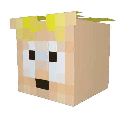 _notblind_ Minecraft avatar head, 3D render