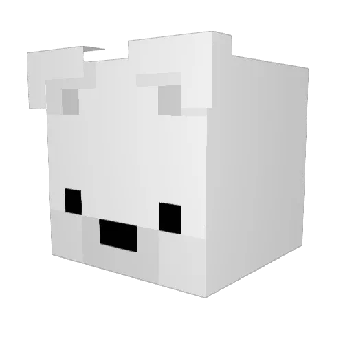 _notfrann_ Minecraft avatar head, 3D render