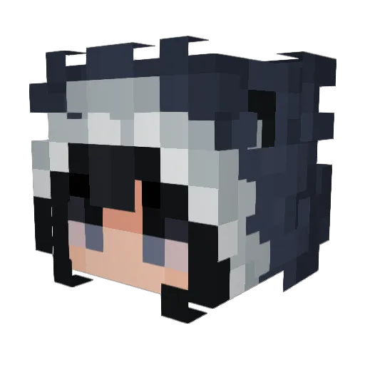 _notvex Minecraft avatar head, 3D render