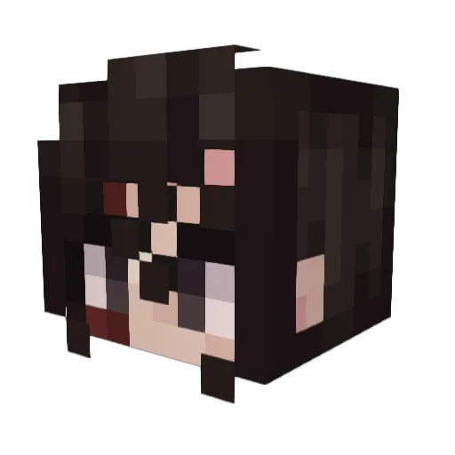 _nvcho Minecraft avatar head, 3D render
