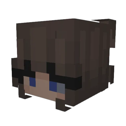 _nyletak Minecraft avatar head, 3D render