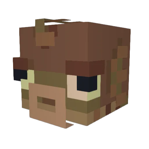_o0rion Minecraft avatar head, 3D render