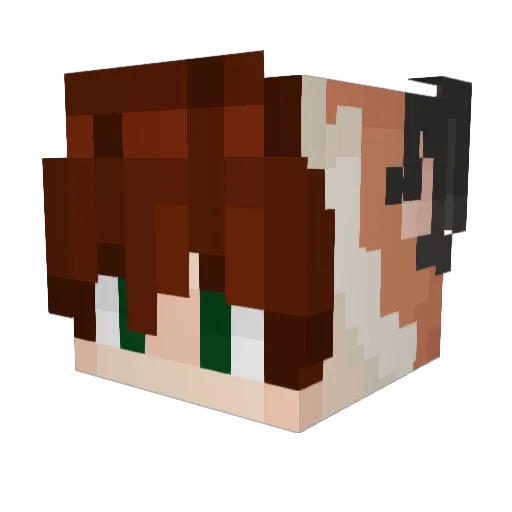 _oKxU_ Minecraft avatar head, 3D render