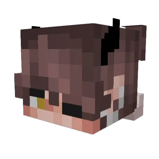 _oaky Minecraft avatar head, 3D render