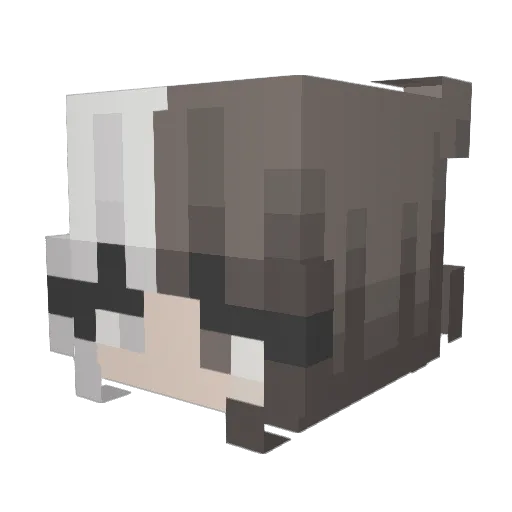 _oer0_ Minecraft avatar head, 3D render
