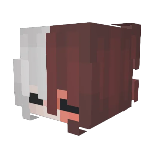 _oliqq Minecraft avatar head, 3D render