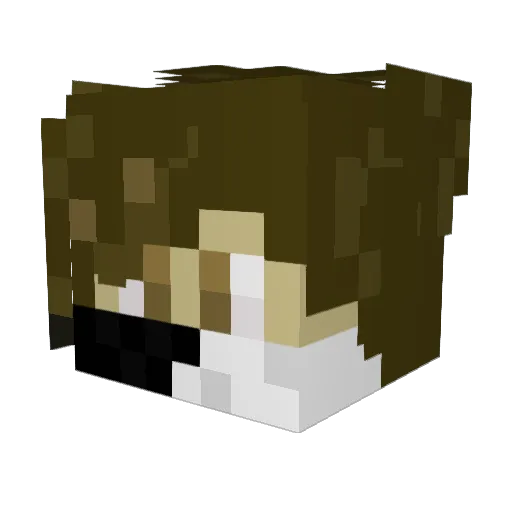 _onlySam_ Minecraft avatar head, 3D render
