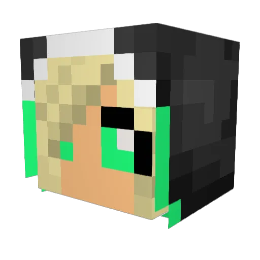 _otatop Minecraft avatar head, 3D render
