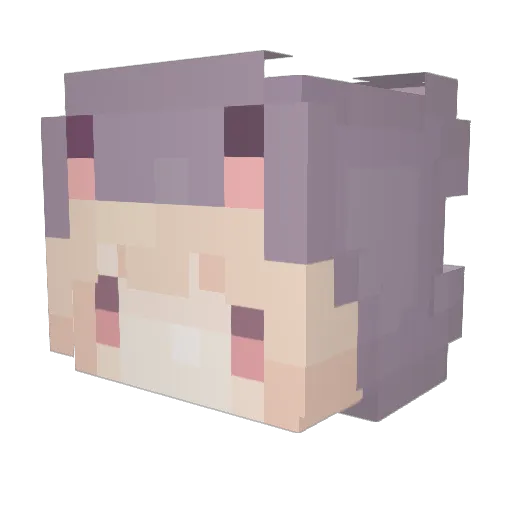 _oxenn Minecraft avatar head, 3D render