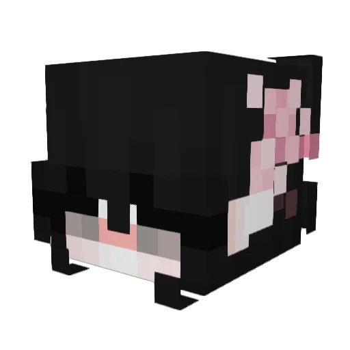 _p1um Minecraft avatar head, 3D render