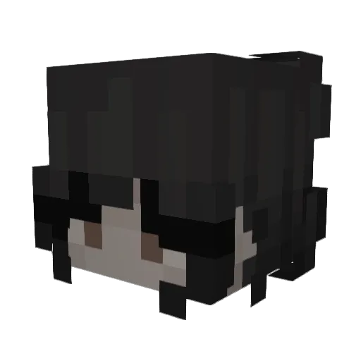 _p4rker_p4nts_ Minecraft avatar head, 3D render