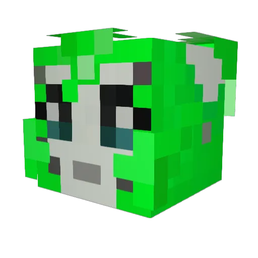 _packz_ Minecraft avatar head, 3D render