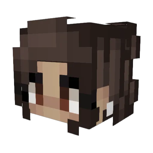 _paigeeee Minecraft avatar head, 3D render