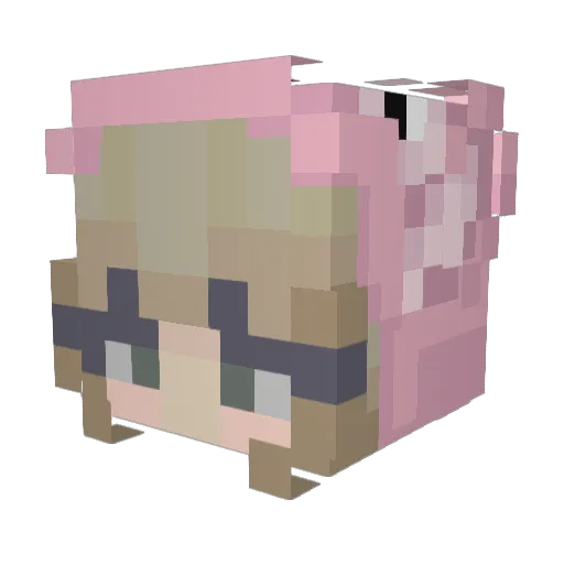 _pampii_ Minecraft avatar head, 3D render