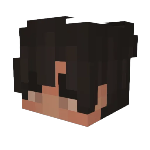 _panbartero_ Minecraft avatar head, 3D render
