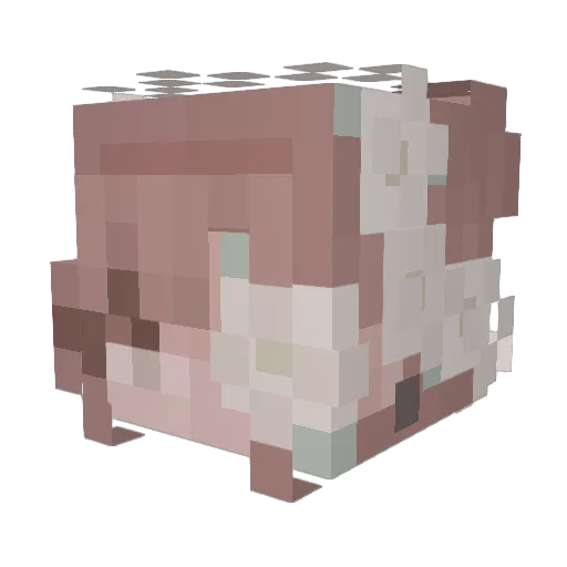 _panda_Lover Minecraft avatar head, 3D render