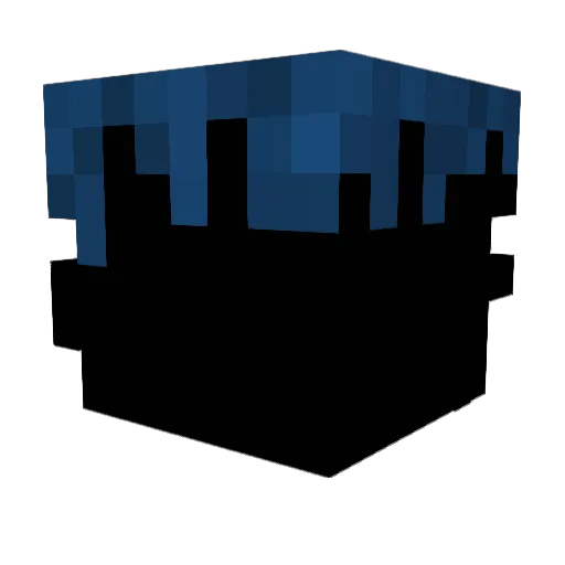 _parkerblue Minecraft avatar head, 3D render