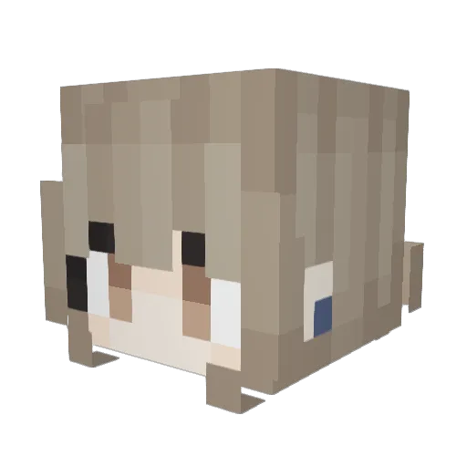_pasik Minecraft avatar head, 3D render
