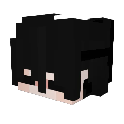 _pelme_she4ek_ Minecraft avatar head, 3D render