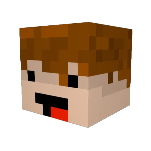_personcat_ Minecraft avatar head, 3D render