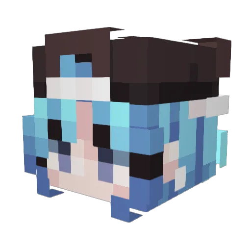 _picklecat_ Minecraft avatar head, 3D render