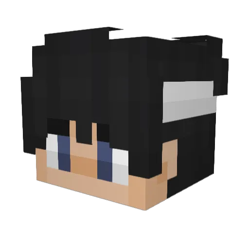_plash Minecraft avatar head, 3D render