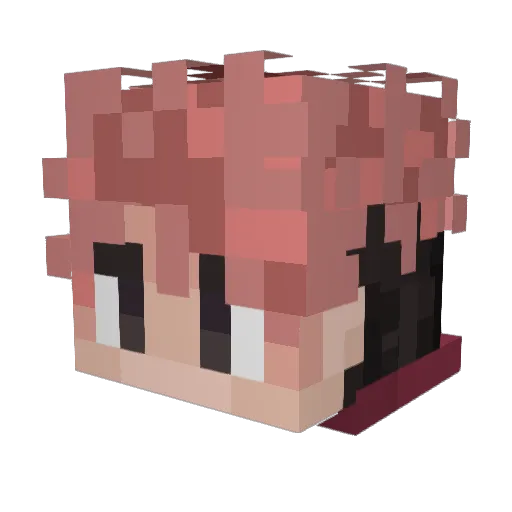 _playerr Minecraft avatar head, 3D render