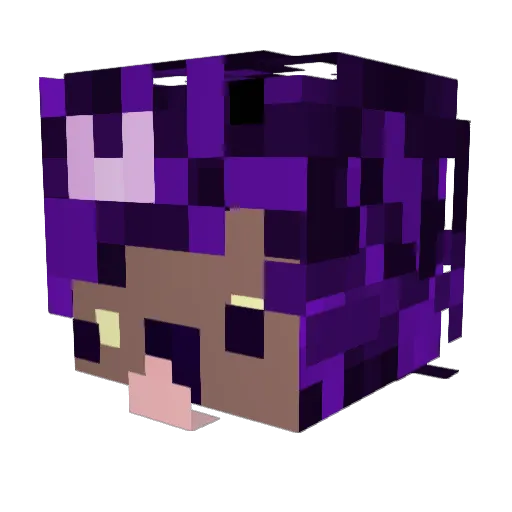 _plooby Minecraft avatar head, 3D render