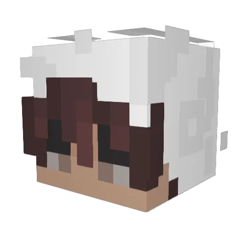 _pluuto Minecraft avatar head, 3D render