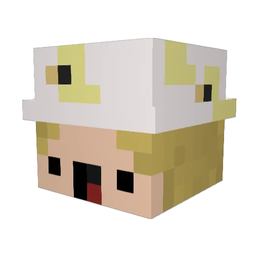 _plux_ Minecraft avatar head, 3D render