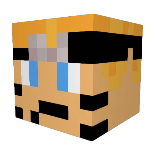 _pmanninja Minecraft avatar head, 3D render