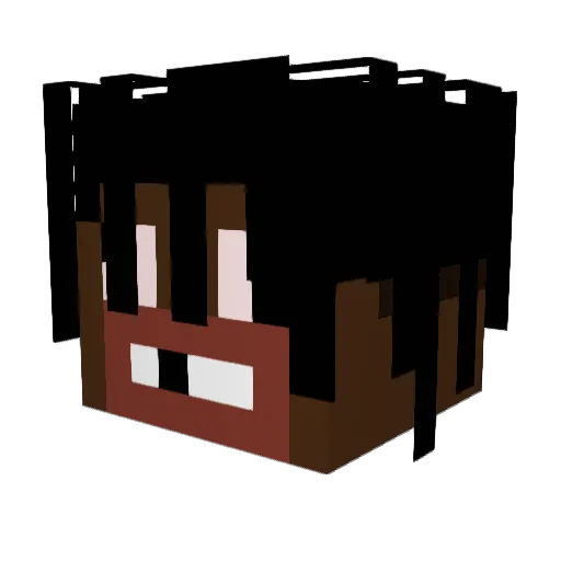 _poloo_ Minecraft avatar head, 3D render