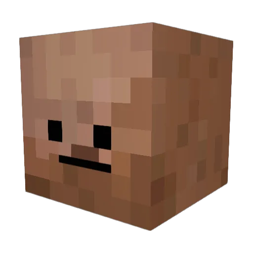 _pooptoe Minecraft avatar head, 3D render