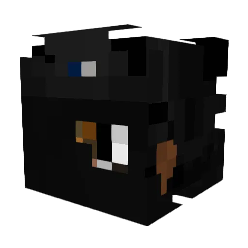 _popcat228 Minecraft avatar head, 3D render