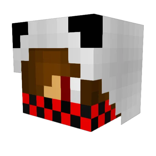 _pove_ Minecraft avatar head, 3D render