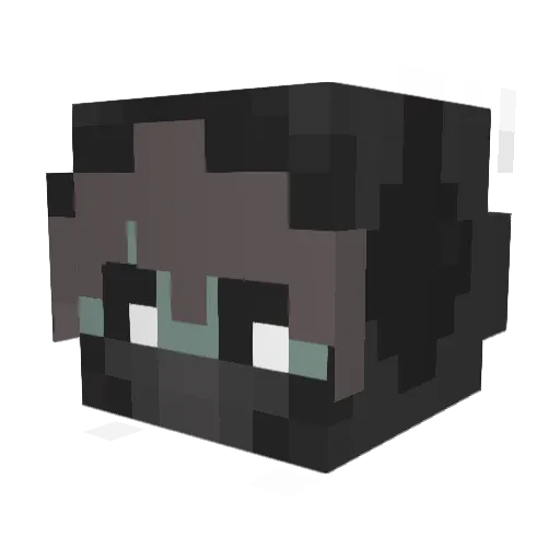 _prr_ Minecraft avatar head, 3D render