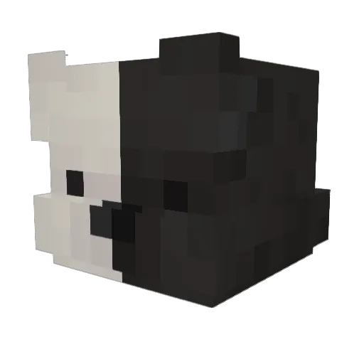 _psychoteddy Minecraft avatar head, 3D render