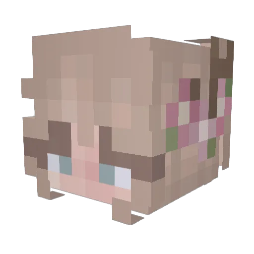 _pudd1es_ Minecraft avatar head, 3D render