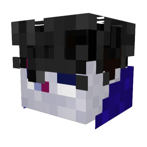 _pvp_Driverej Minecraft avatar head, 3D render